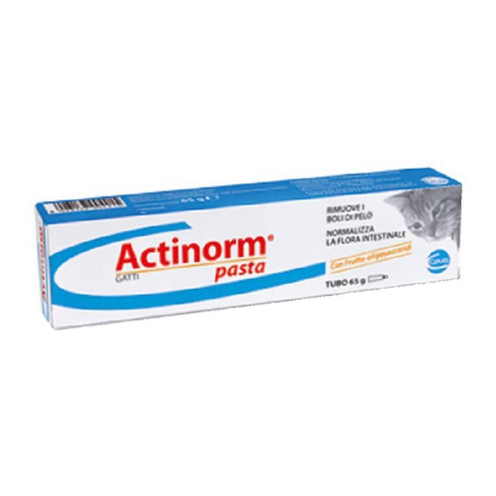 actinorm pasta per gatti actinorm 65g con frutto-oligosaccaridi per rimuovere i boli di pelo e normalizzare la flora intestinale - foto 1