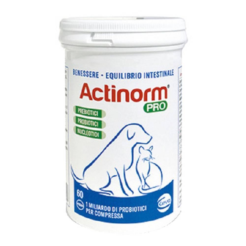 actinorm mangime complementare actinorm pro 60 compresse per cani e gatti - bioregolatore naturale per la funzionalità intestinale - foto 1