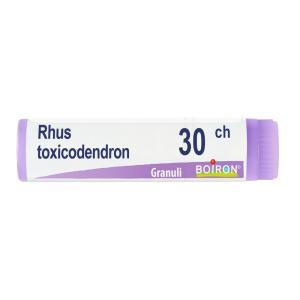 Rhus toxicodendron  30ch globuli 1g