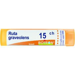 Ruta graveolens boinuli 15ch 80granuli 4g
