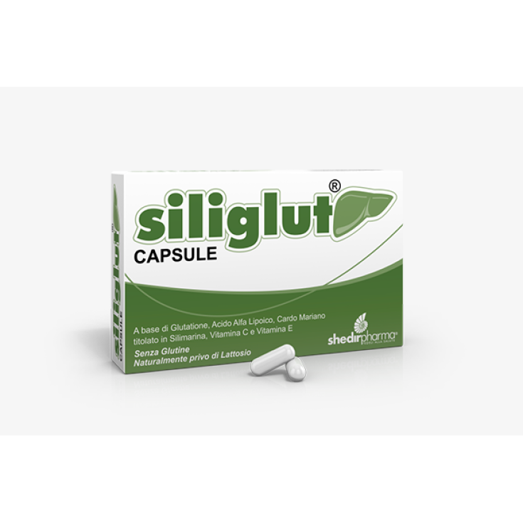 shedir integratore alimentare siliglut 20 capsule con glutatione, acido alfa lipoico, cardo mariano, vitamina c ed e per funzione epatica e digestiva - foto 1