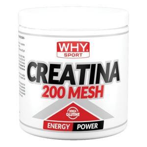 Creatina monoidrato micronizzata 200 mesh 200hg