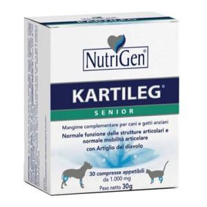Kartileg senior 60 tavolette