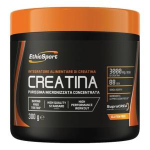 Creatina 300g